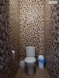 �������� ������� 255 �² � ������ | 16 ����� | ������ 27 �² ���� 22