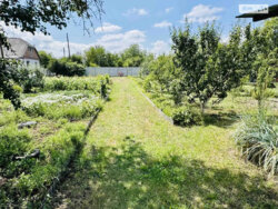 ��������� ������� ����������, �������, ����������, ��������� ���. ���� 11