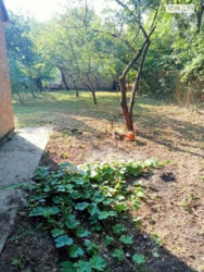 ��������� ������� ����������, �������, ����������, �������� ����, ������ ���. ���� 13