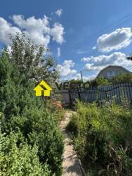    .  29+  !  ̲Ѳ   17