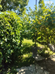 Продається будинок Полтавська, Полтавський фото 3 Продається будинок Полтавська, Полтавський фото 3