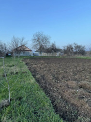 Продається затишний будинок у селі Мачухи, всього 5 км від Полтави. фото 14 Продається затишний будинок у селі Мачухи, всього 5 км від Полтави. фото 14