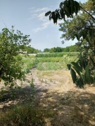 Будинок в селі Ковалівка. фото 12 Будинок в селі Ковалівка. фото 12