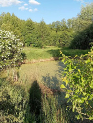 !!!     70   7   .  4