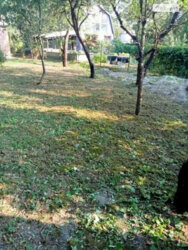 ��������� ������� ����������, �������, ����������, �������� ����, ������ ���. ���� 12