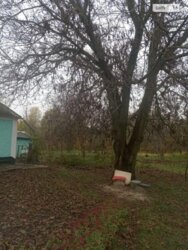 Тахтаулове, Продається дачна ділянка з житловою хатою в с Тахтаулове. фото 6 Тахтаулове, Продається дачна ділянка з житловою хатою в с Тахтаулове. фото 6