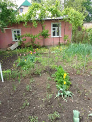 ������� ������� �� ����������� �� �����. ���� 1