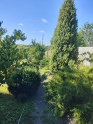 Продається будинок з земельною ділянкою 30 сот фото 5 Продається будинок з земельною ділянкою 30 сот фото 5