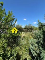    .  29+  !  ̲Ѳ   18