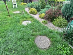 ������ ������� � ������ ���� 19