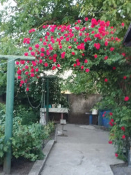 Будинок в селі Ковалівка. фото 3 Будинок в селі Ковалівка. фото 3