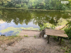 ��������� ������� ����������, �������, ����������, �������� ����, ������ ���. ���� 14