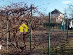 Продається будинок Полтавська, Полтава, Подільський, Центральна вул. фото 10 Продається будинок Полтавська, Полтава, Подільський, Центральна вул. фото 10