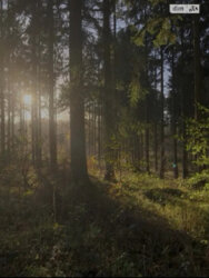 ��������� ������� ����������, �����������, �������, �������� ���. ���� 8