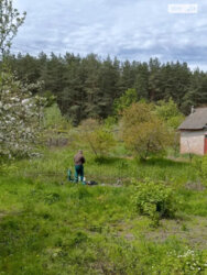 ��������� ������� ����������, �����������, �������, �������� ���. ���� 10