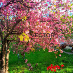 Будинок у центрі міста! фото 15 Будинок у центрі міста! фото 15