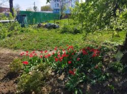 Частина будинку фото 4 Частина будинку фото 4