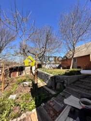  ̲Ѳ 0%  1152    .  +   13