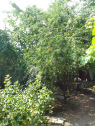 ������� ������� �� ����������� �� �����. ���� 12