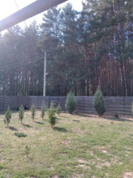 Будинок у лісі район Крутий берег. фото 20 Будинок у лісі район Крутий берег. фото 20