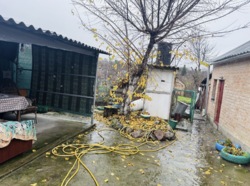 ������ ������� �� ����������� � �. ������������� ���� 17