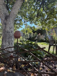 ������ �������� ������� �� ������������� � �. ������������� ���� 15