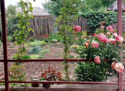 Продам будинок на Великій Балці у Кропивницькому фото 7 Продам будинок на Великій Балці у Кропивницькому фото 7