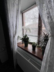 ������ 2� ���������� ������� �� ������������� ���� 10