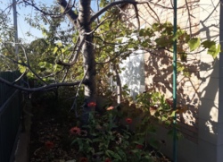 ������ ������� �� ������� � �. ������������� ���� 6