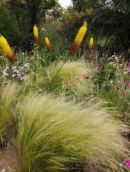 Продам будинок на Великій Балці у Кропивницькому фото 16 Продам будинок на Великій Балці у Кропивницькому фото 16