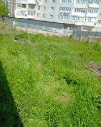 ������ ������� ������� � ����� �������������� ���� 5