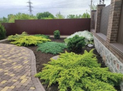 ������ ������� �� ������ �������� � �. ������������� ���� 5