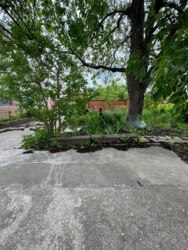 Продам будинок на Новомиколаївці в Кропивницькому фото 5 Продам будинок на Новомиколаївці в Кропивницькому фото 5