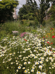 Продам будинок на Великій Балці у Кропивницькому фото 18 Продам будинок на Великій Балці у Кропивницькому фото 18