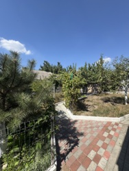 Продам будинок на Новій Балашівці у Кропивницькому фото 17 Продам будинок на Новій Балашівці у Кропивницькому фото 17