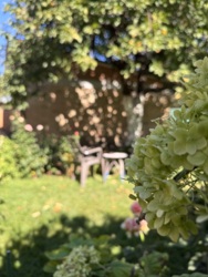 ������ �������� ������� �� ������������� � �. ������������� ���� 13