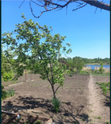 ������ ������� �� ����� ��������� � �������������� ���� 2