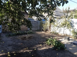 ������ ������� �� ������� � �. ������������� ���� 7