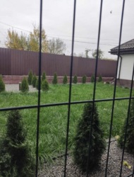 ������ ������� � �. ���������� ����� � ������������� ���� 14