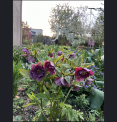 Продам будинок на Великій Балці у Кропивницькому фото 17 Продам будинок на Великій Балці у Кропивницькому фото 17