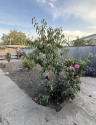 ������ ������� ������� �� ������������� � �. ������������� ���� 15