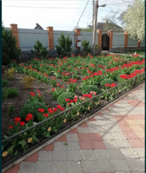 ������ ������� � �. �������� � �������������� ���� 3