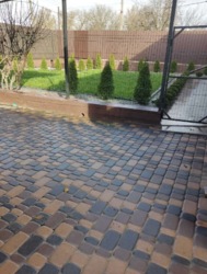 ������ ������� � �. ���������� ����� � ������������� ���� 19