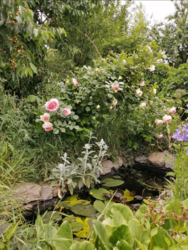 Продам будинок на Великій Балці у Кропивницькому фото 12 Продам будинок на Великій Балці у Кропивницькому фото 12