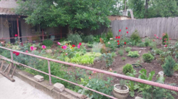 Продам будинок на Великій Балці у Кропивницькому фото 8 Продам будинок на Великій Балці у Кропивницькому фото 8