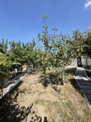 Продам будинок на Новій Балашівці у Кропивницькому фото 18 Продам будинок на Новій Балашівці у Кропивницькому фото 18