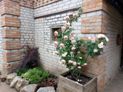 Продам будинок на Великій Балці у Кропивницькому фото 3 Продам будинок на Великій Балці у Кропивницькому фото 3