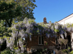 Продам будинок на Великій Балці у Кропивницькому фото 1 Продам будинок на Великій Балці у Кропивницькому фото 1