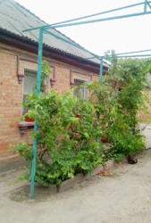 Продам будинок на Новій Балашівці в Кропивницькому фото 1 Продам будинок на Новій Балашівці в Кропивницькому фото 1