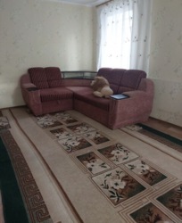 Продаж будинок на Новомиколаївці в м. Кропивницький фото 7 Продаж будинок на Новомиколаївці в м. Кропивницький фото 7